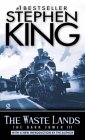 Cover The Waste Lands (Stephen ing)