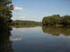 Tisza