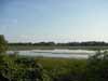 Tisza
