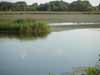 Tisza