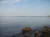 Tisza