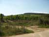 Vineyards