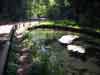 Szalajka-v�lgy pond