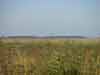 Puszta