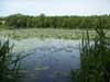 Lac de Bairon