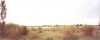 Camargue